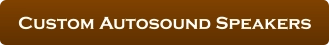 Custom Autosound Speakers