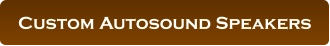 Custom Autosound Speakers